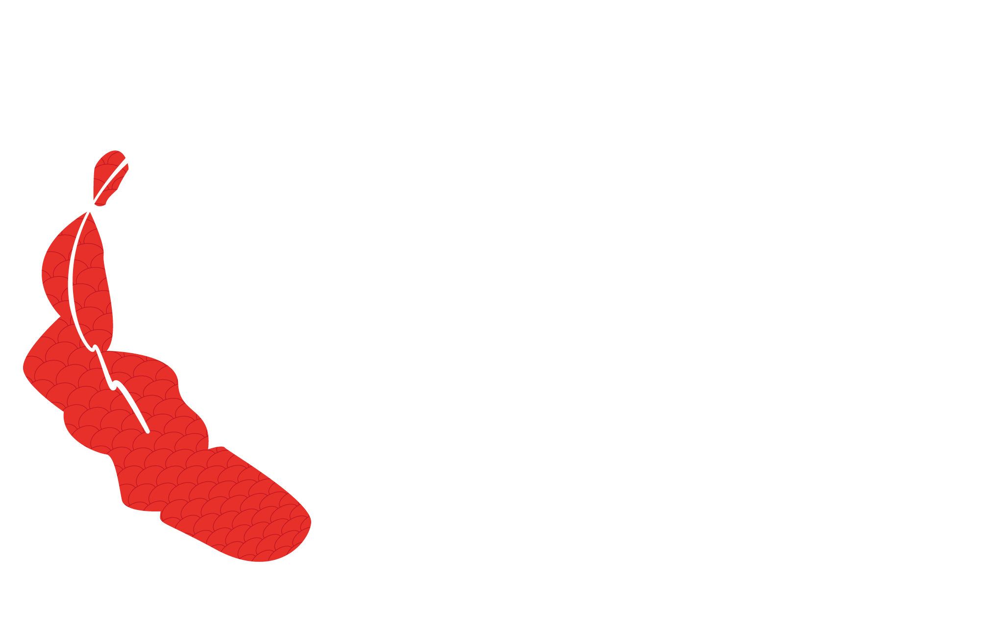 Veldhoven Koi Farm